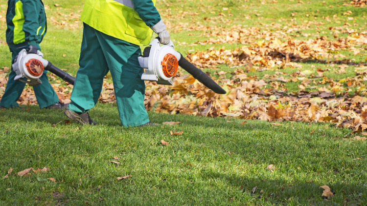 Leaf Blower