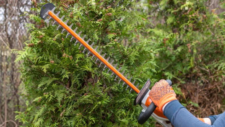 Hedge Trimmer